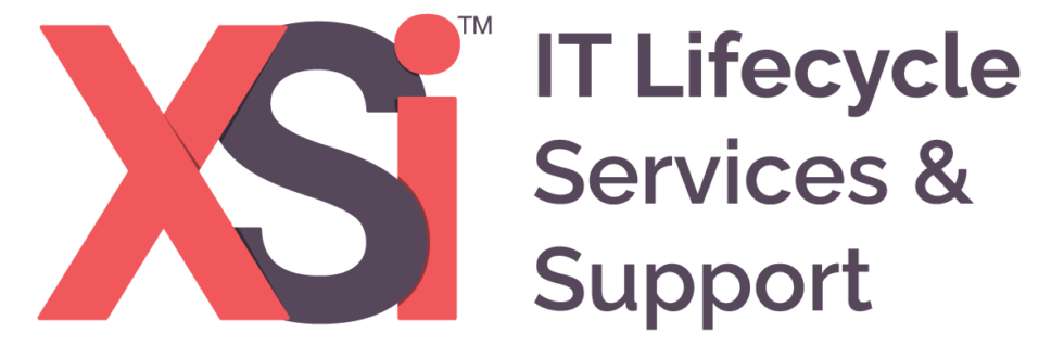 WHAT IS XSI TYPE visual data 3